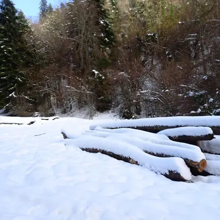 2 A 4 Personnes Le Pyreneen A Carrefour Des Activites De Montagne אראו