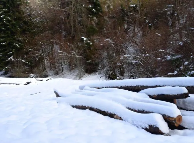 2 à 4 Personnes Le Pyrénéen à Carrefour Des Activités De Montagne Arreau